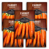 5 Packets of Danvers Carrot seeds