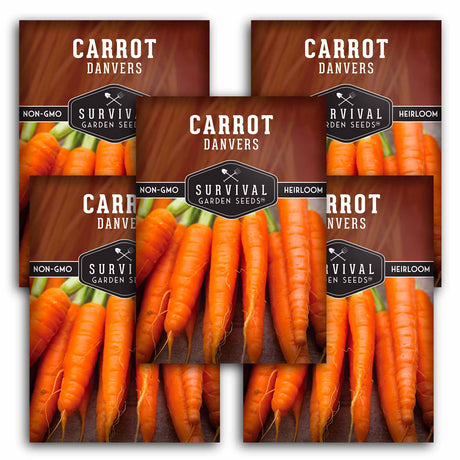 5 Packets of Danvers Carrot seeds