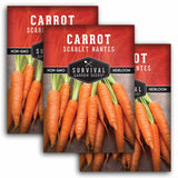 3 packets of Scarlet Nantes Carrot seeds