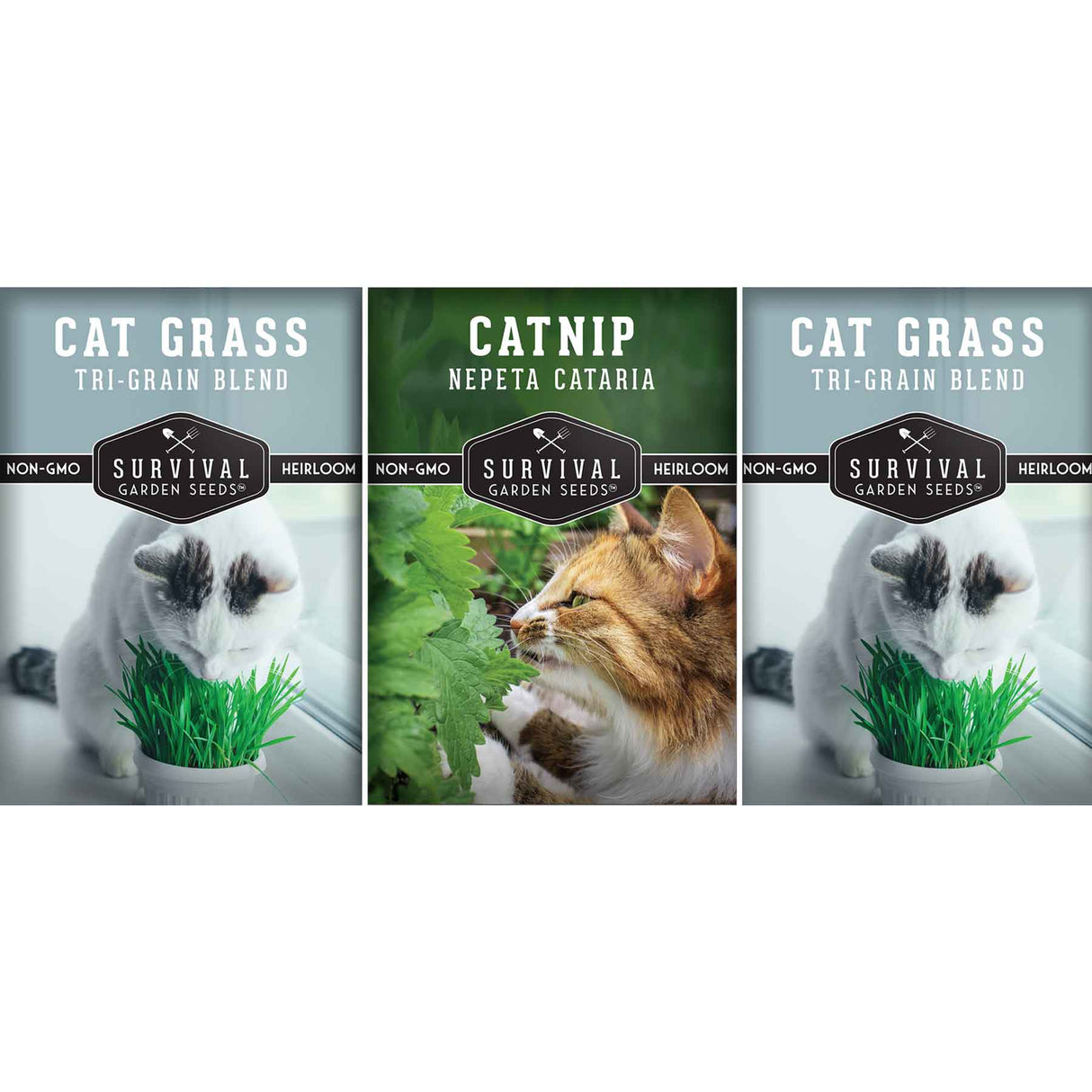 Cat Herb Seed Collection - Catnip & Cat Grass Seed Packets