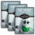 3 Packets of Cat Grass Seed