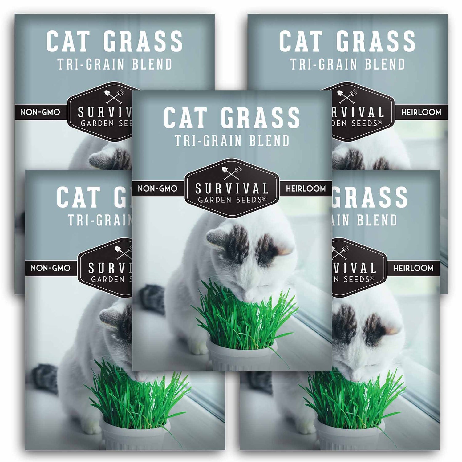 green seed garden coupon Cat Grass Seed – Nutritious Pet-Safe Greens – SurvivalGardenSeeds