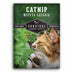 1 Packet of Catnip Herb Seeds