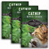 3 Packets of Catnip herb seeds