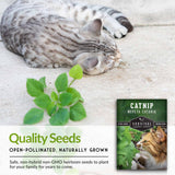 Quality catnip seeds