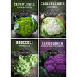 Four packages of cauliflower, broccoli, and romanesco from Survival Garden Seeds on a white background.