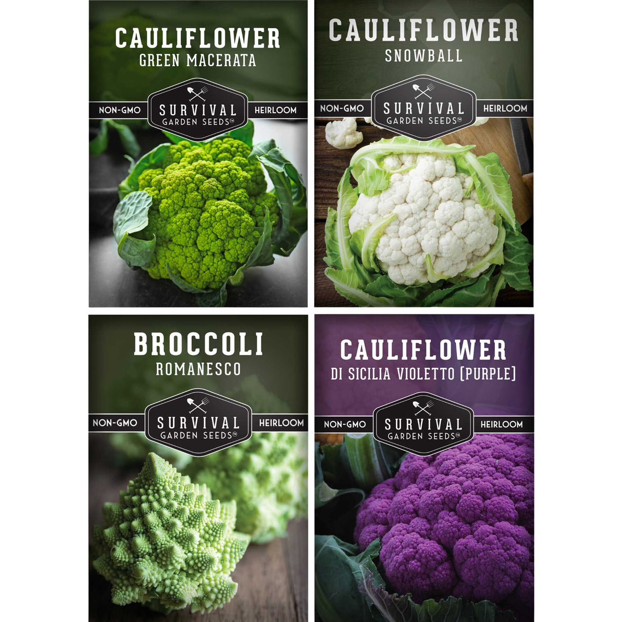 Four packages of cauliflower, broccoli, and romanesco from Survival Garden Seeds on a white background.