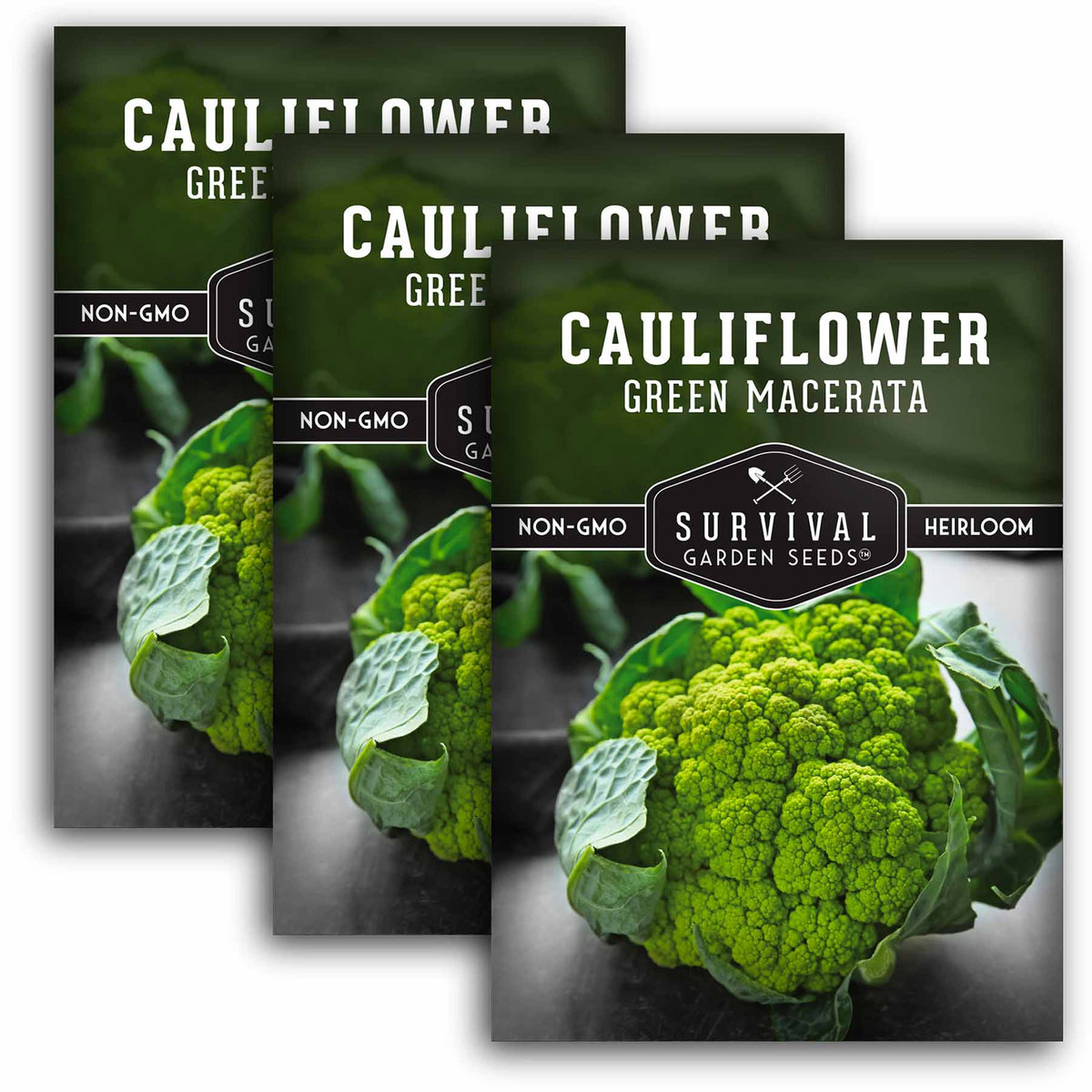 3 packets of Green Macerata Cauliflower seeds