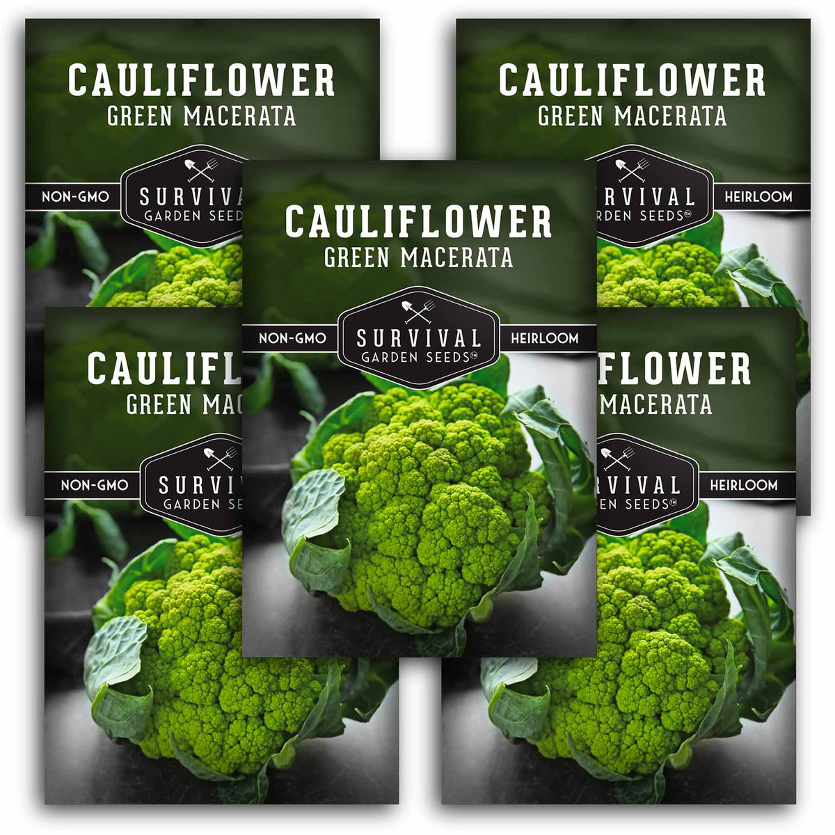 5 packets of Green Macerata Cauliflower seeds