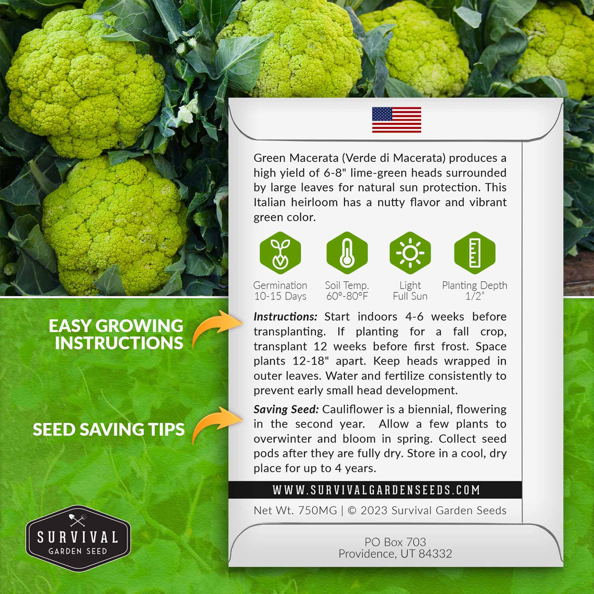 Green Macerata Cauliflower growing instructions