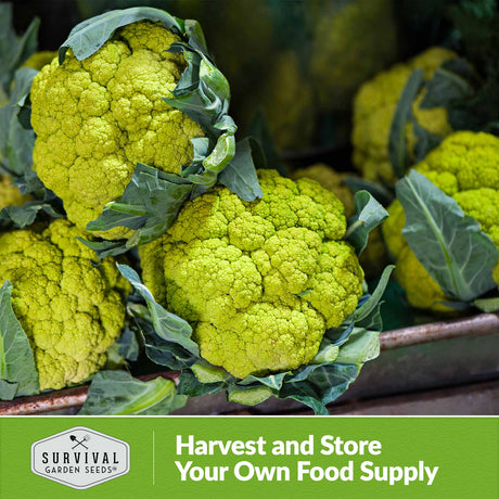 Harvest and store your own food supply