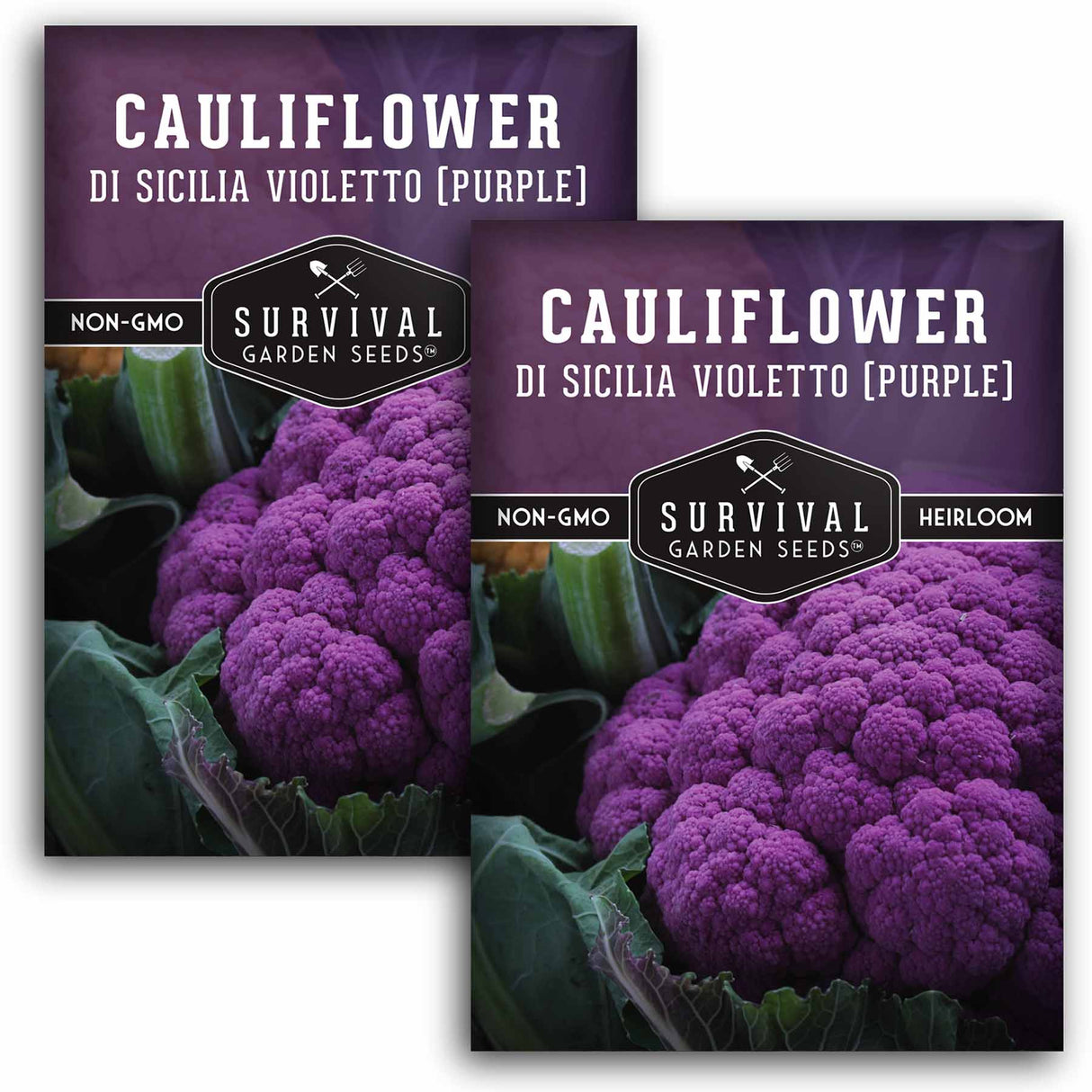 2 packets of Purple Cauliflower seeds