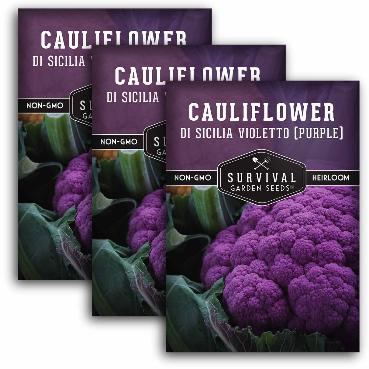 3 packets of Purple Cauliflower seeds