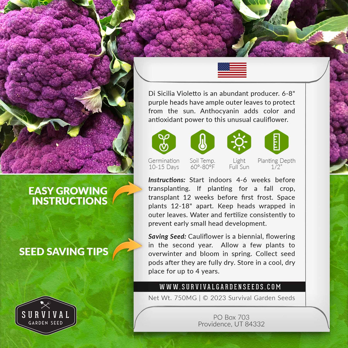Purple cauliflower growing instructions