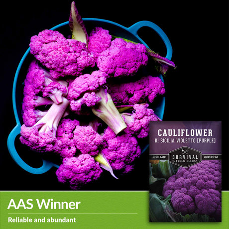 AAS Winner - reliable and abundant