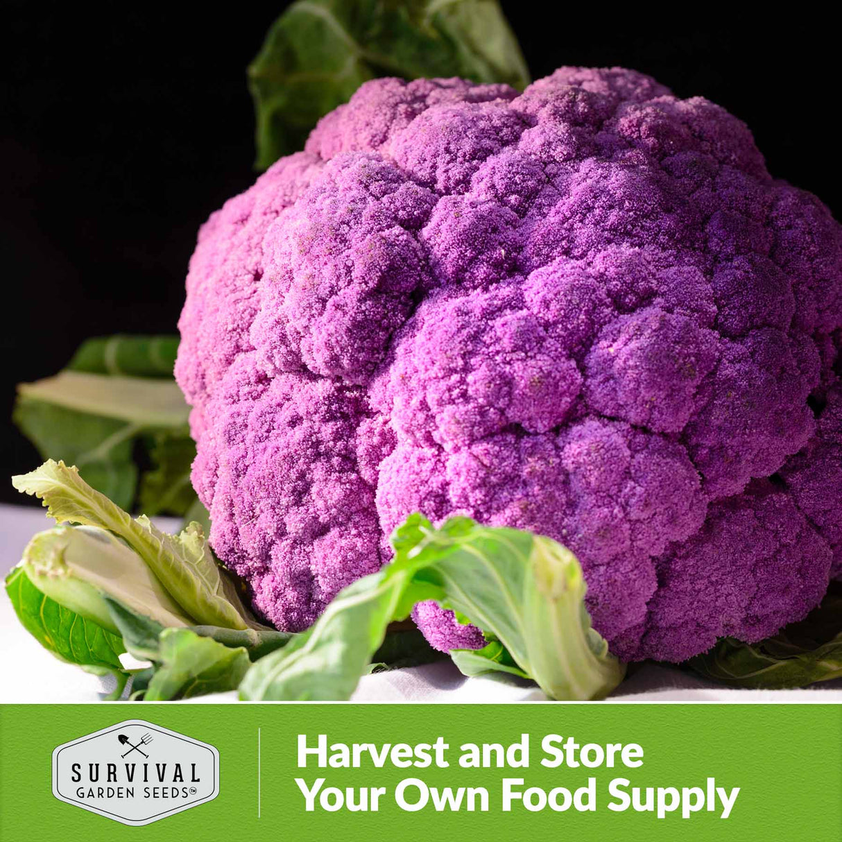 Harvest and store your own food supply