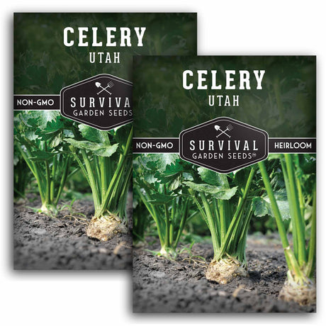 2 Packets of Utah Celery seeds