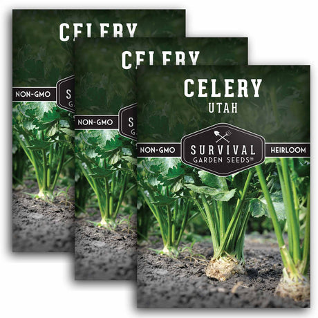 3 Packets of Utah Celery seeds