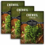 3 packets of Curled Chervil seeds