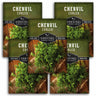 5 packets of Curled Chervil seeds