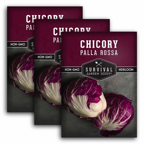 3 packets of Palla Rossa Chicory seeds