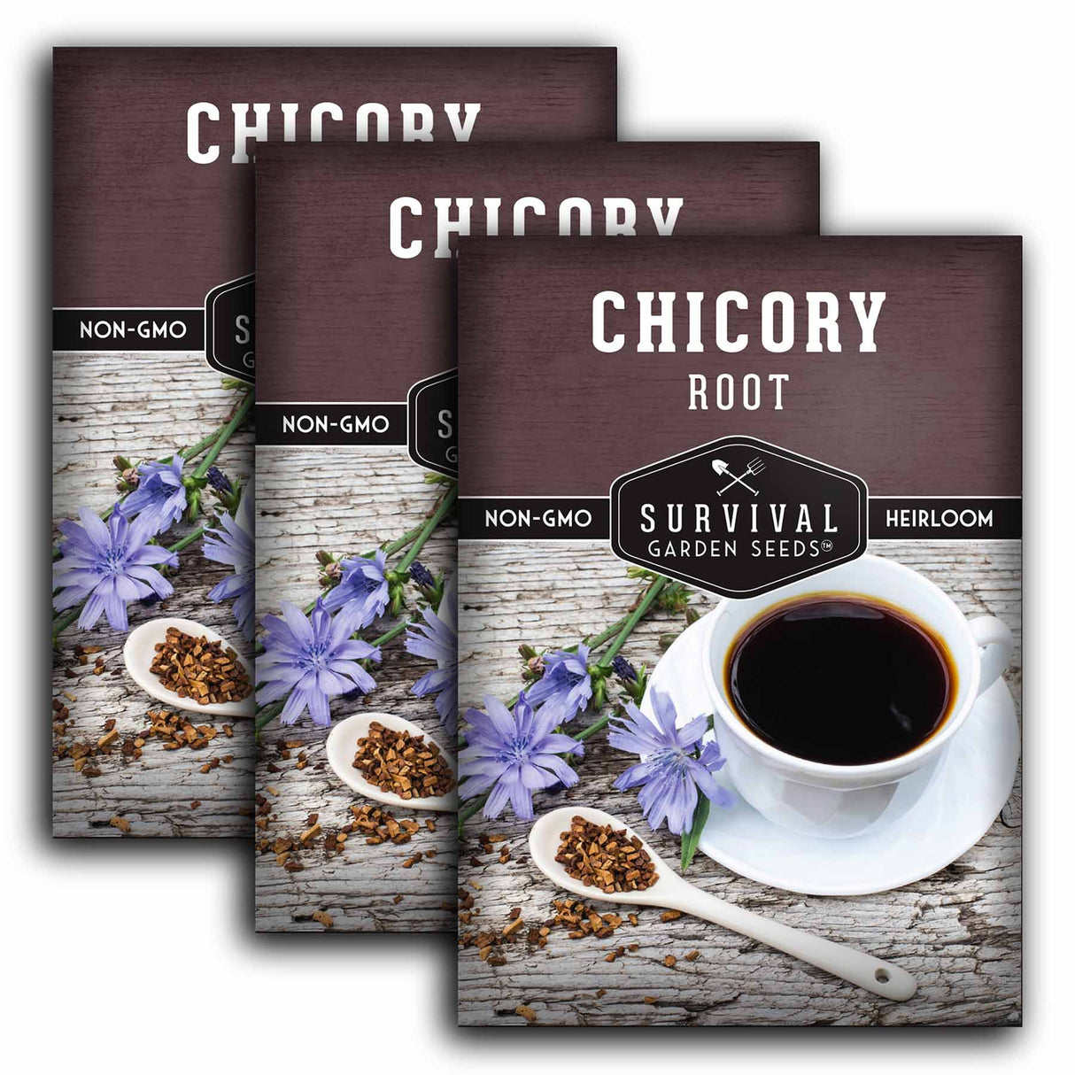 3 packets of Root Chicory seeds