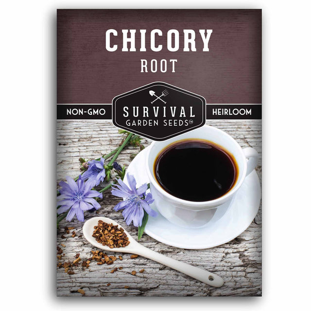 Root Chicory Seeds