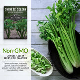 Non-GMO Chinese Celery seeds