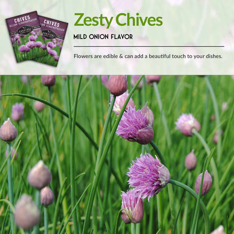 Zesty chives have mild onion flavor