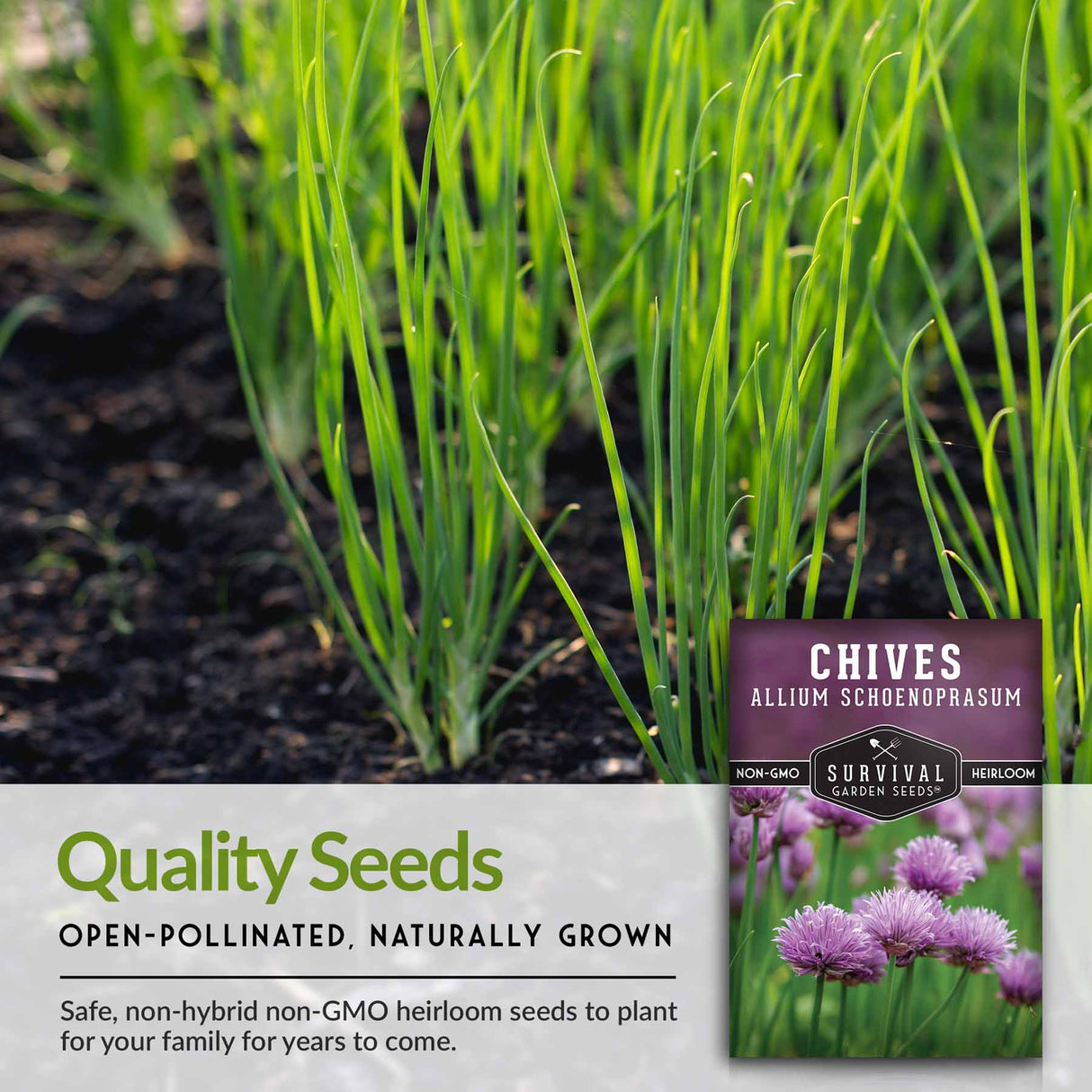 Quality Seeds