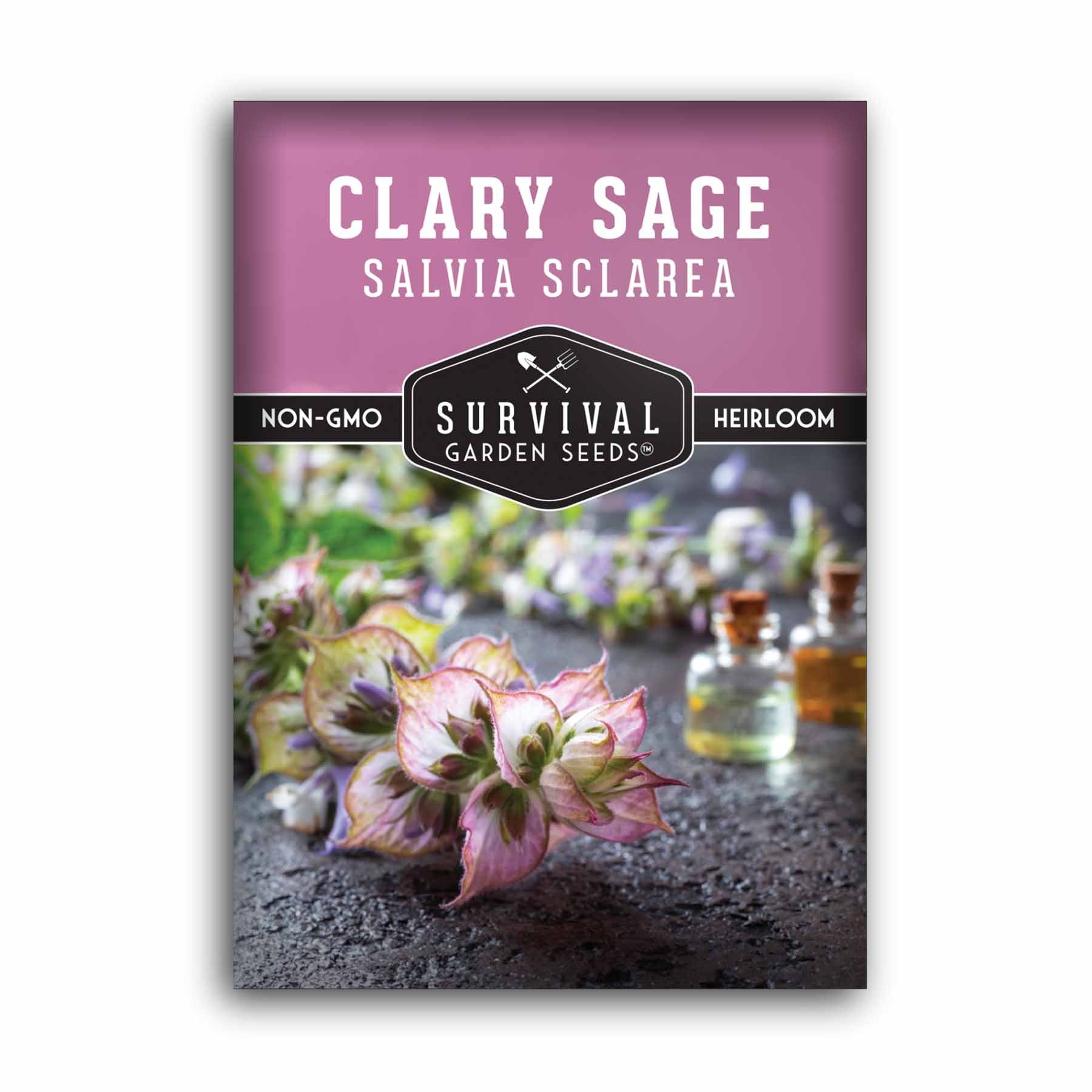 ClarySage-1.1.jpg?v=1746106534