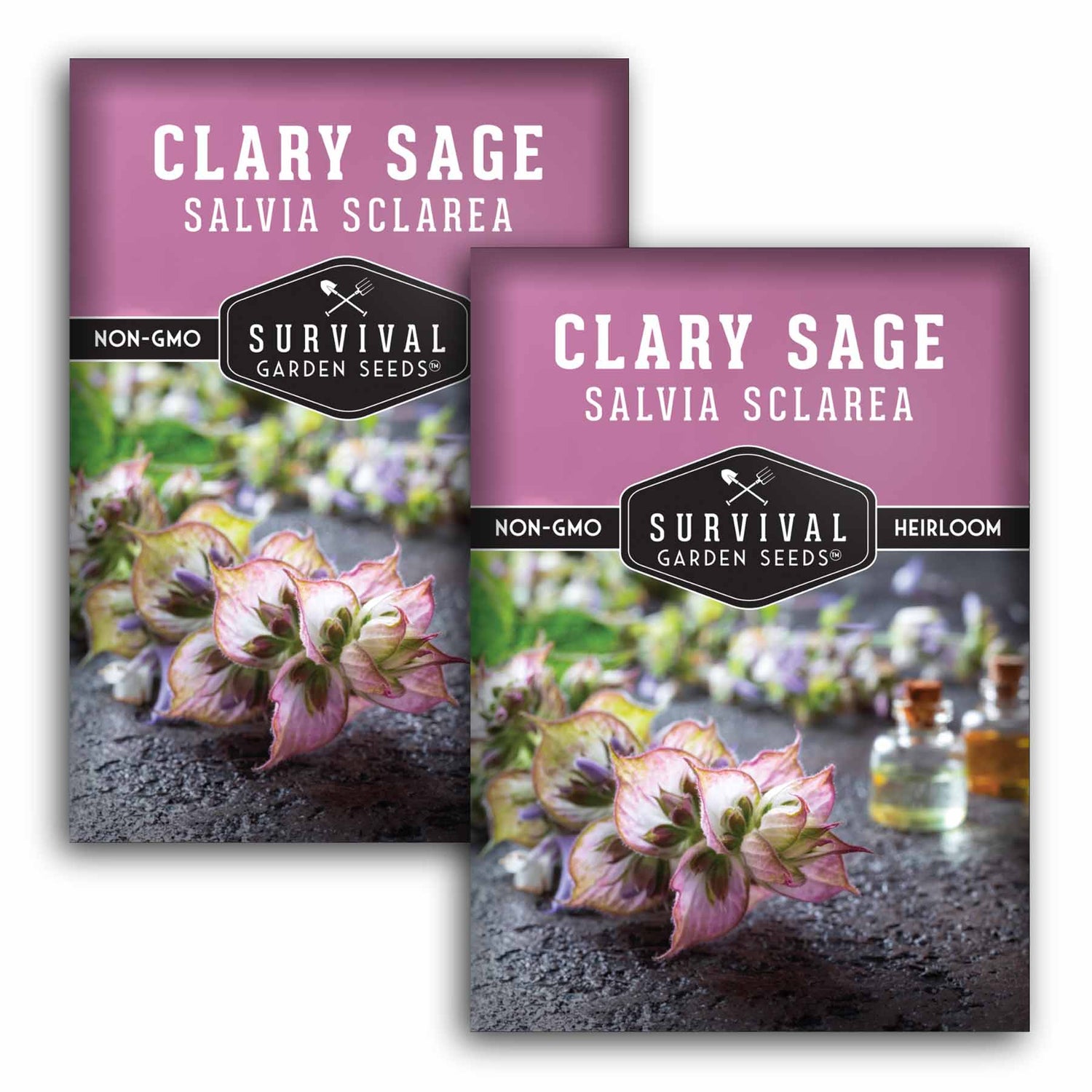 salvia plant seeds Clary Sage – Aromatic Medicinal Herb Seeds – SurvivalGardenSeeds
