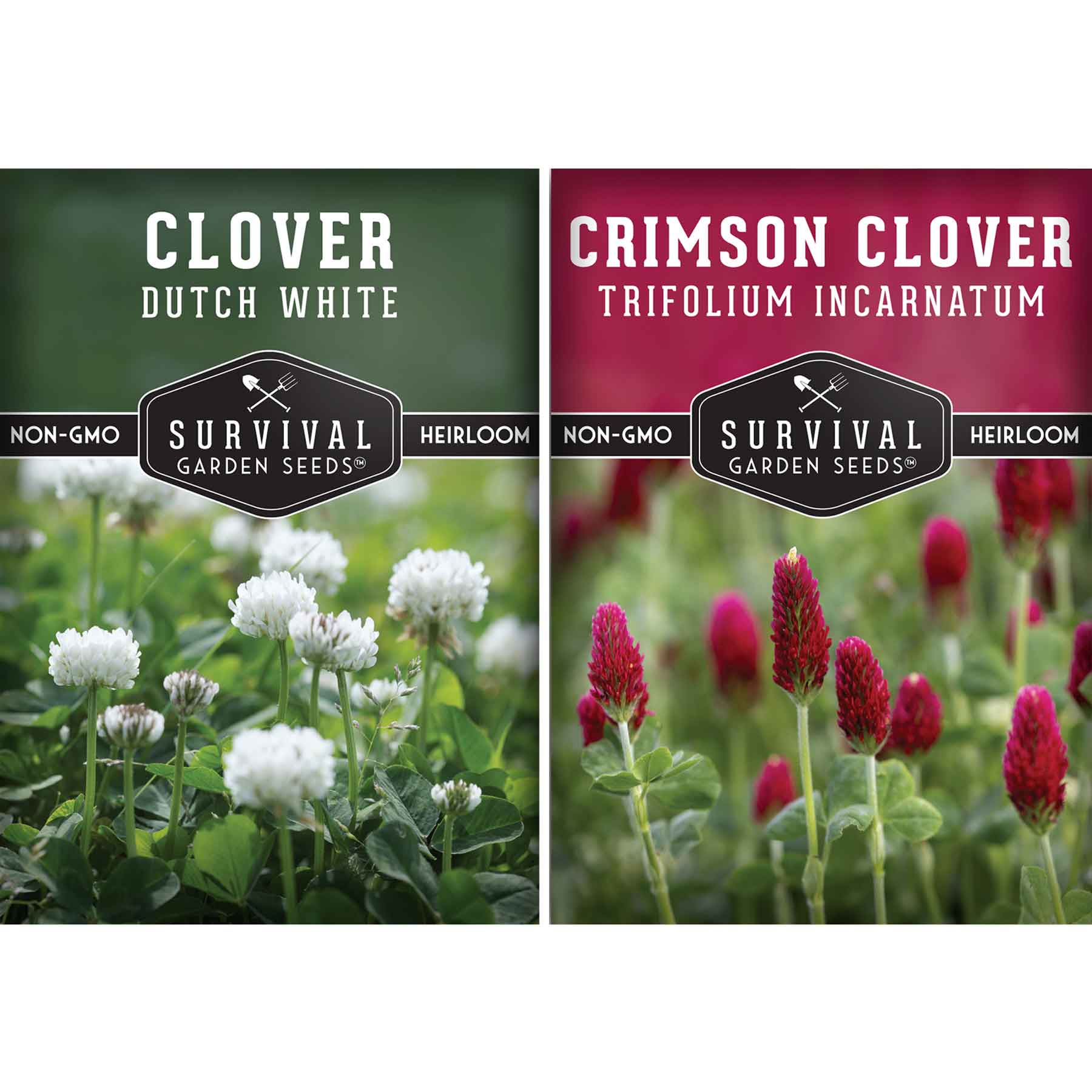 Clover Seeds – SurvivalGardenSeeds