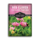 Red Clover seeds