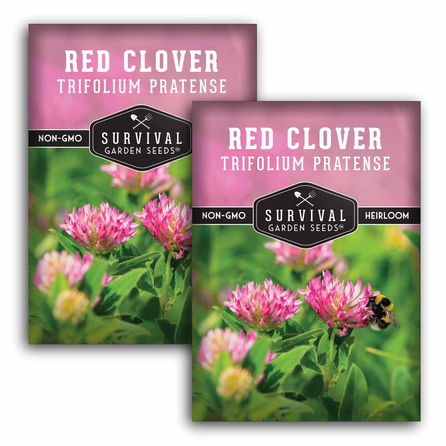 planting red clover seeds Red Clover Seeds – Nitrogen-Fixing Cover Crop – SurvivalGardenSeeds
