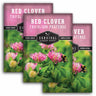 3 packets of Red Clover seeds