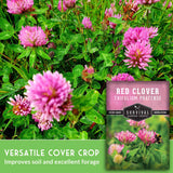 Versatile cover crop