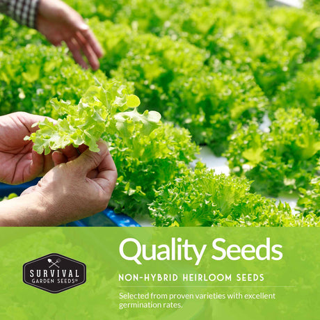 Quality Seeds