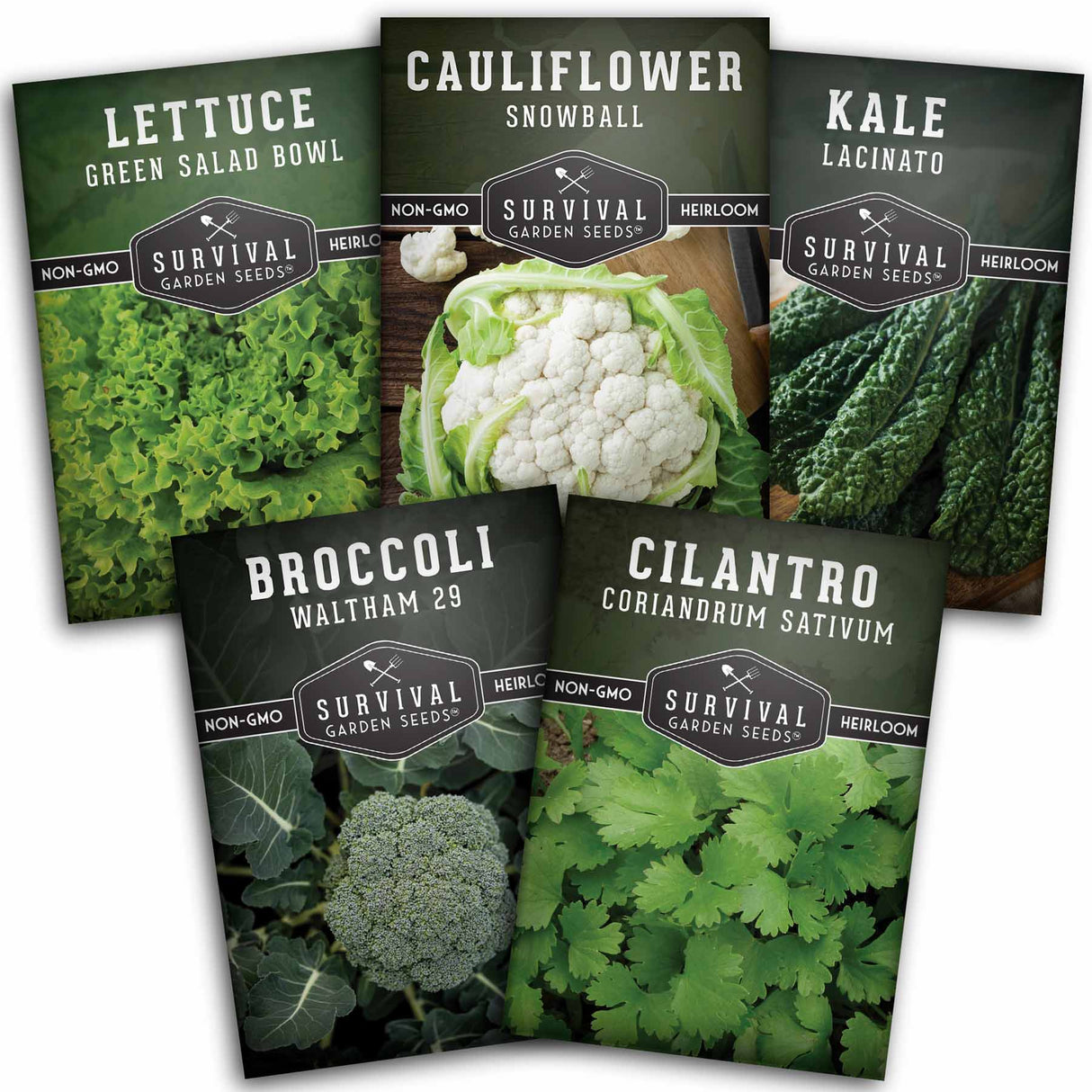 5 Packets of cool weather vegetable seeds