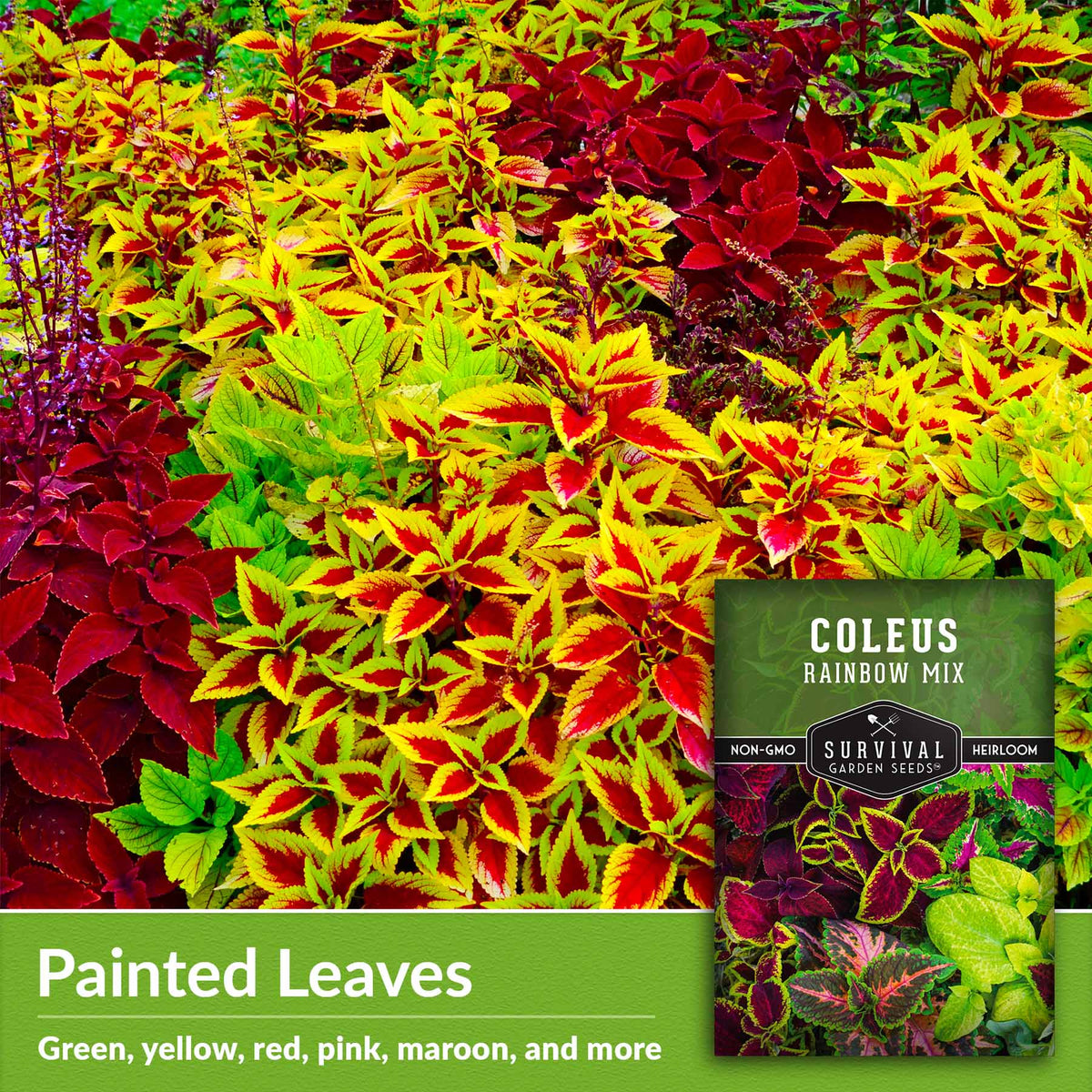 Painted leaves - green, yellow, red, pink, maroon and more
