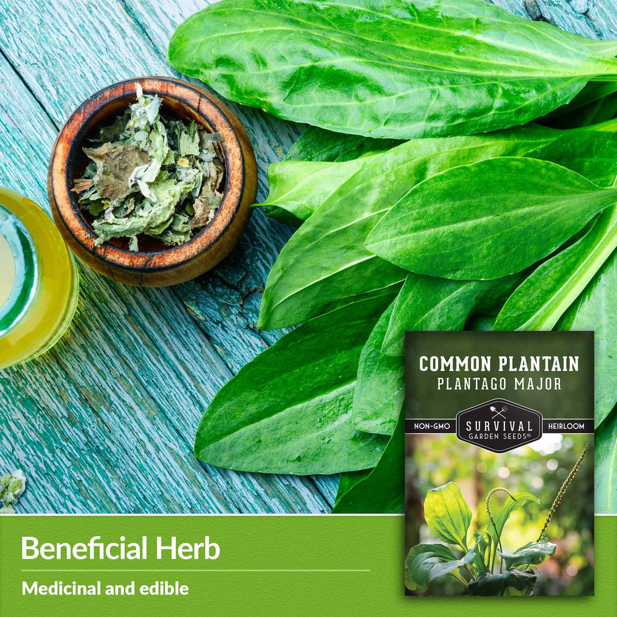 Beneficial herb - medicinal and edible