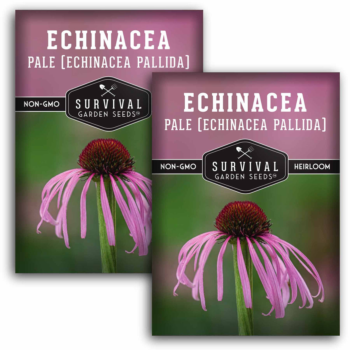 2 packets of Pale Echinacea seeds