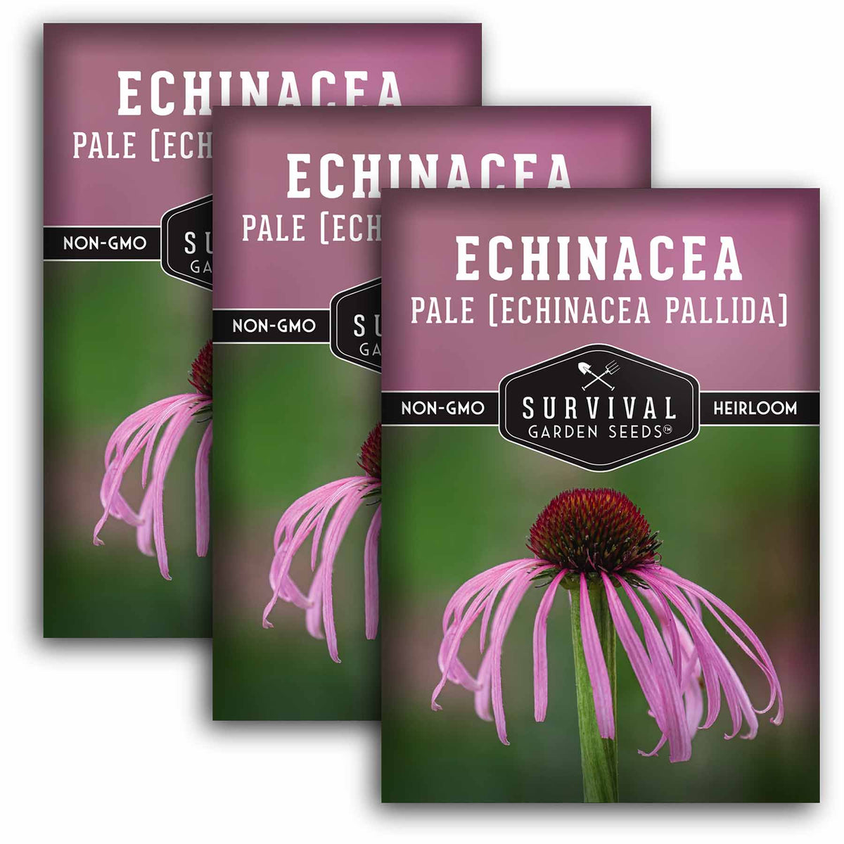 3 packets of Pale Echinacea seeds