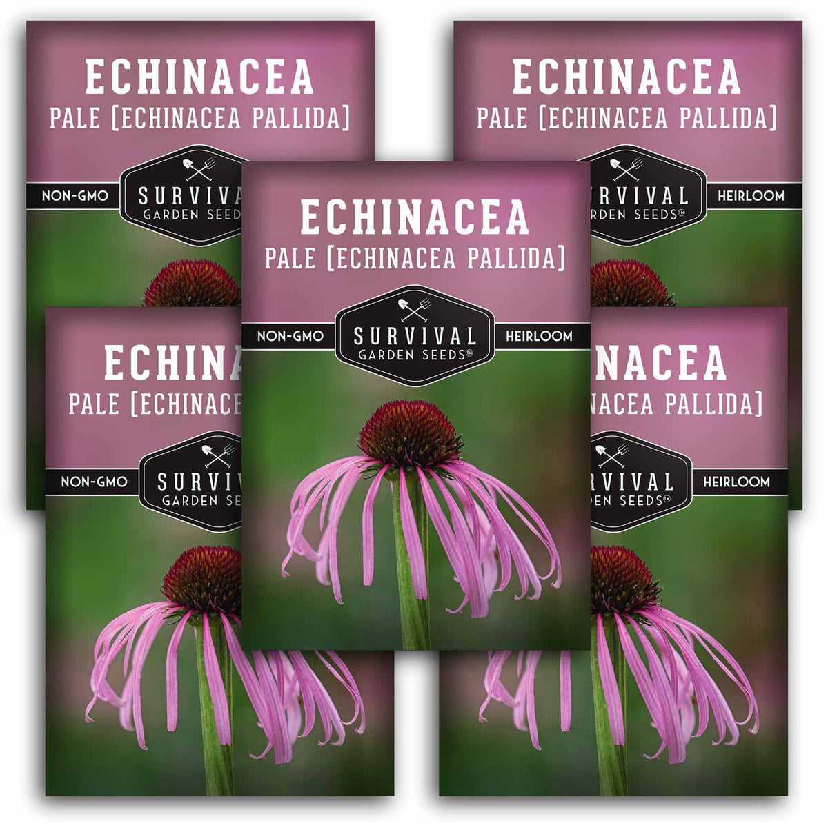 5 packets of Pale Echinacea seeds