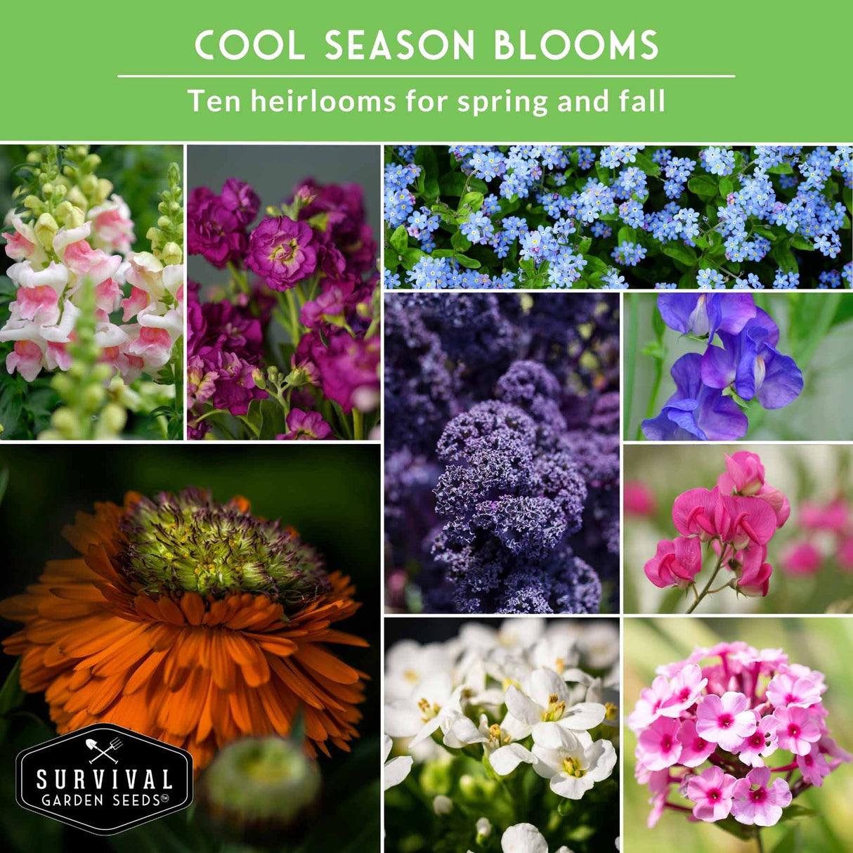 Collage of various flowers with 'Cool Season Blooms' text and Survival Garden Seeds logo.