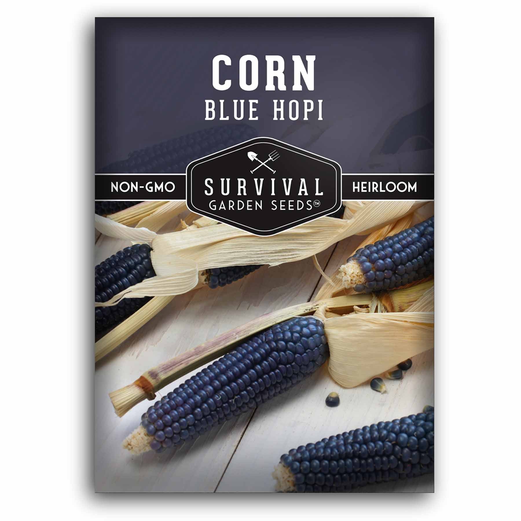 Blue Hopi Corn Seeds
