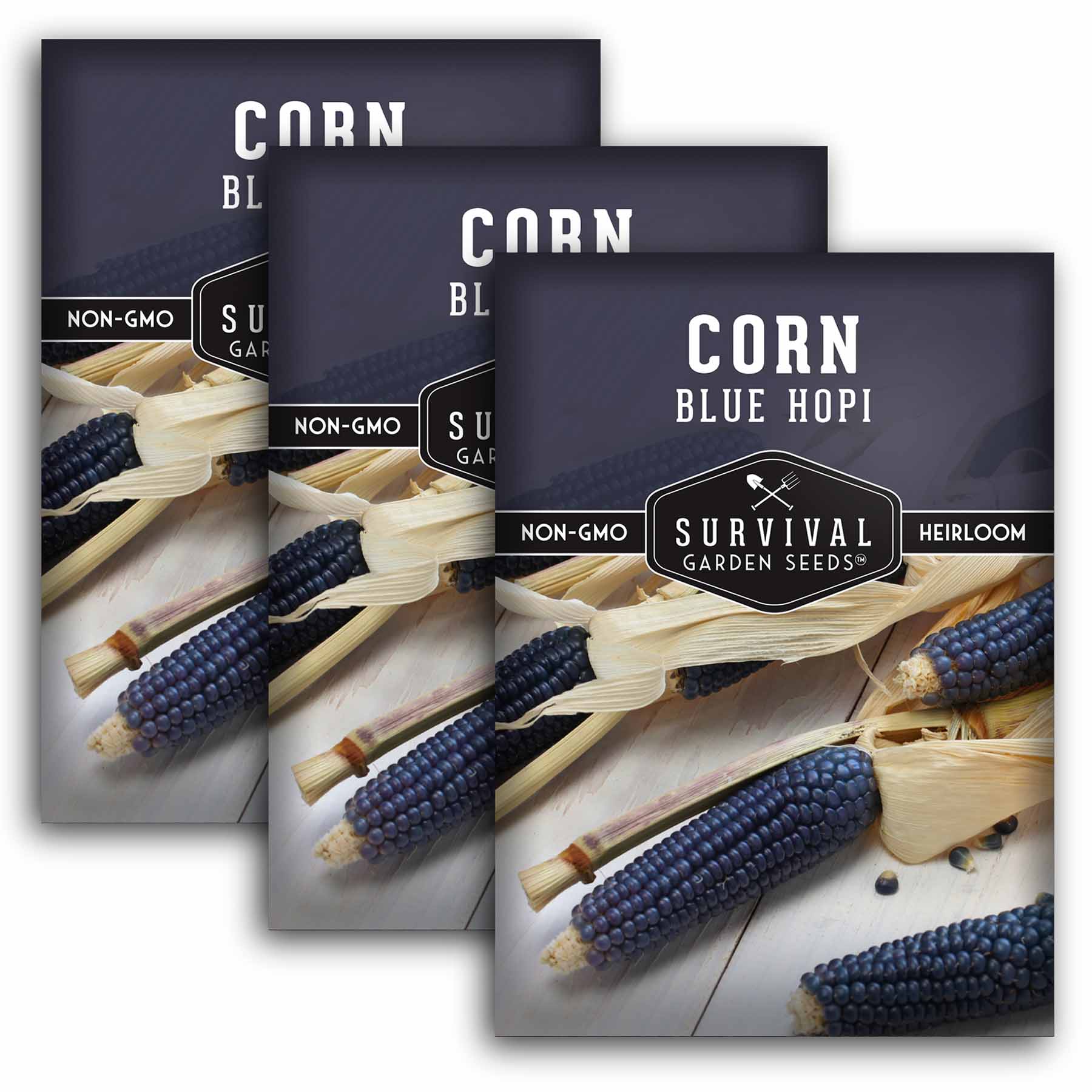 Blue Hopi Corn Seeds Heritage Blue Maize SurvivalGardenSeeds