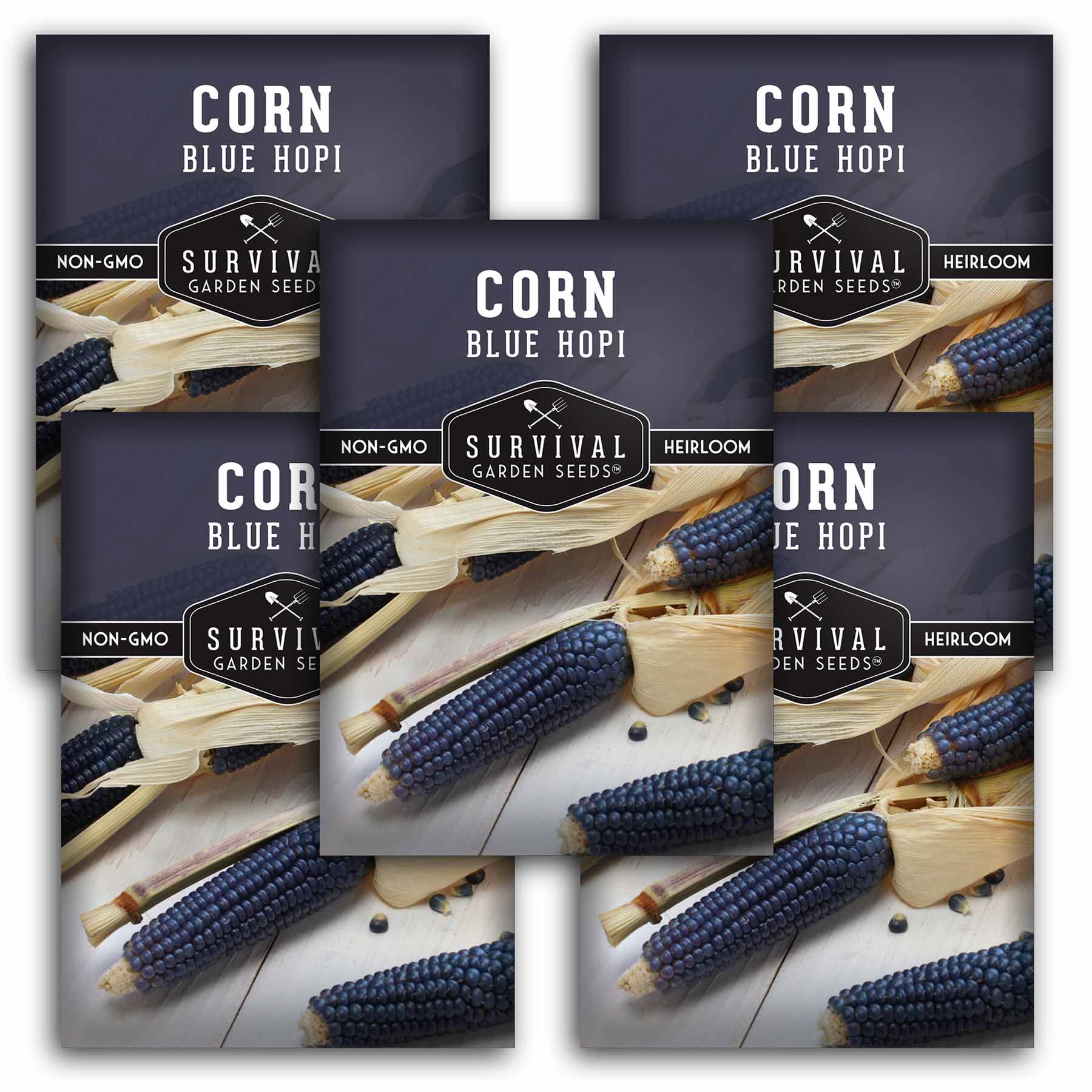 Blue Hopi Corn Seeds Heritage Blue Maize SurvivalGardenSeeds