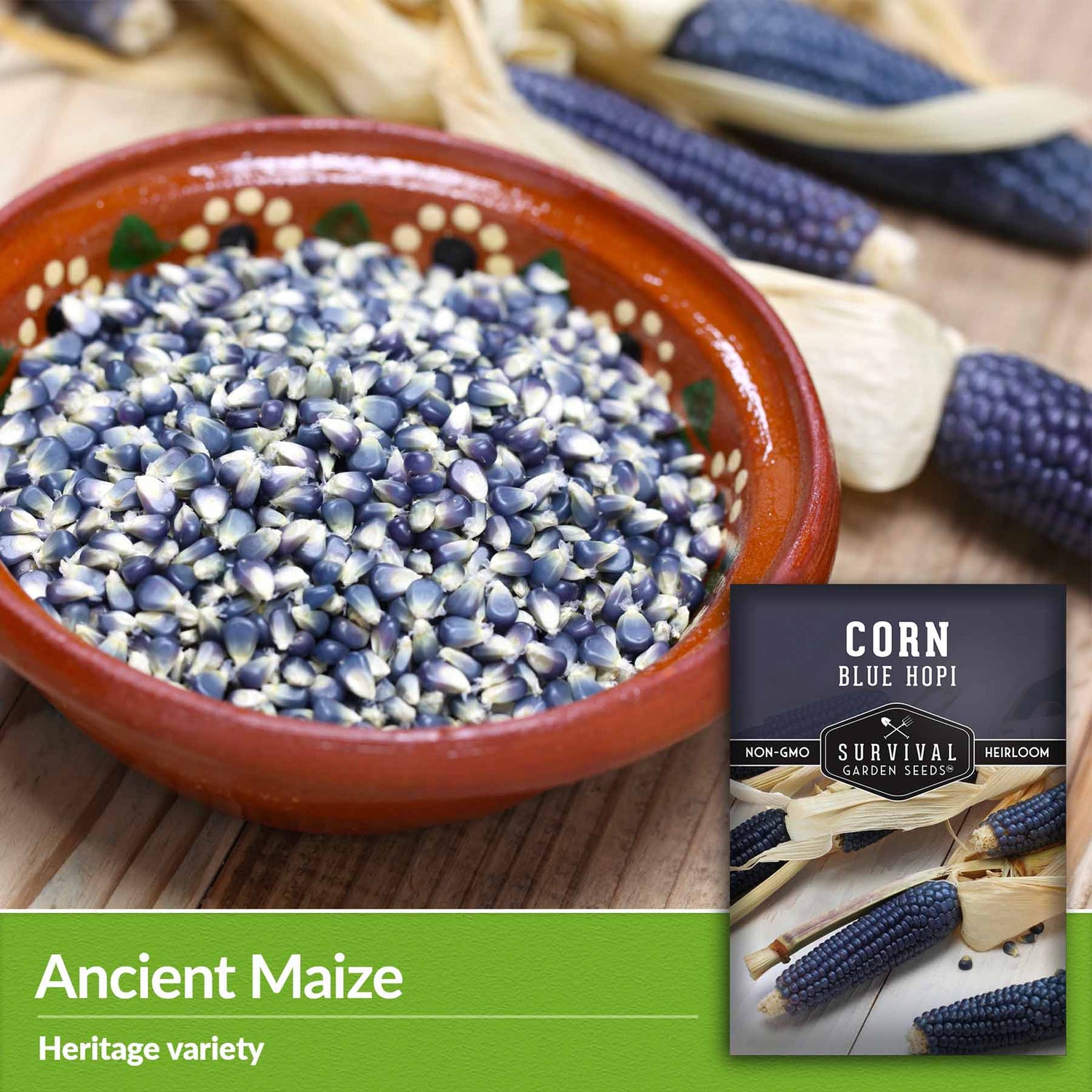 Blue Hopi Corn Seeds Heritage Blue Maize SurvivalGardenSeeds
