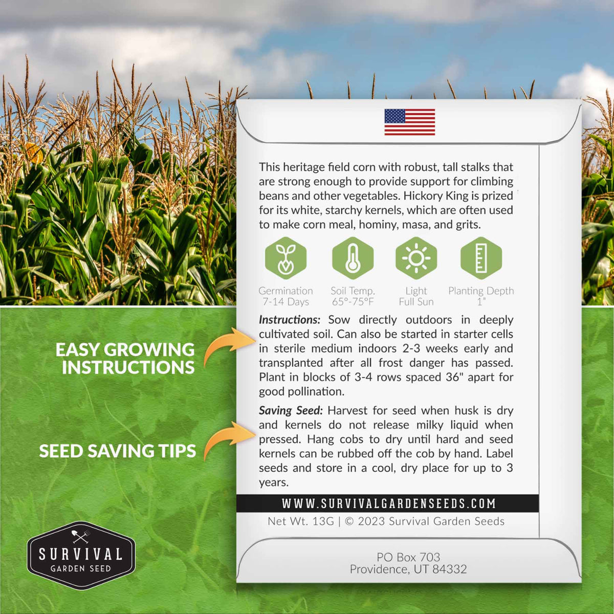 Hickory King Corn seed growing instructions
